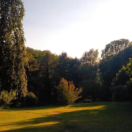 Il Vecchio Faggio * Cagno (Como)